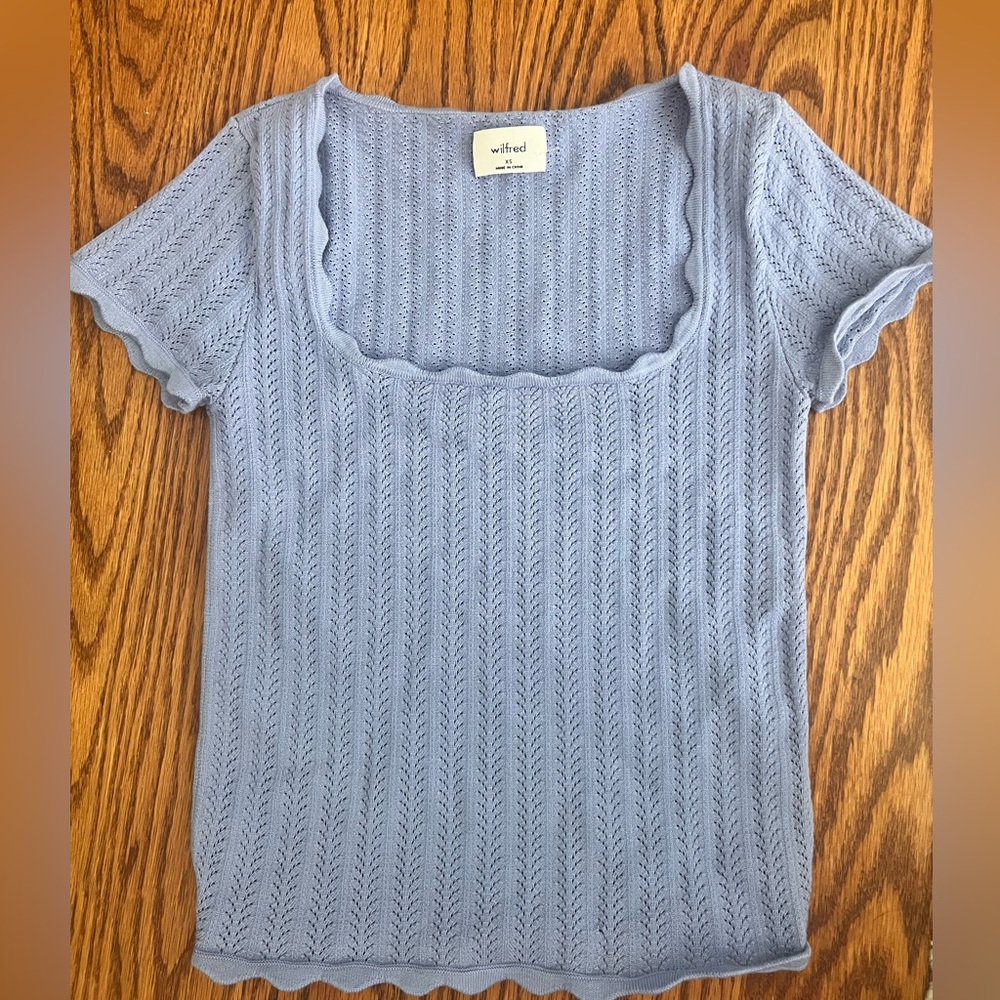 Aritzia Blue Wilfred Parcel Top (Blue)